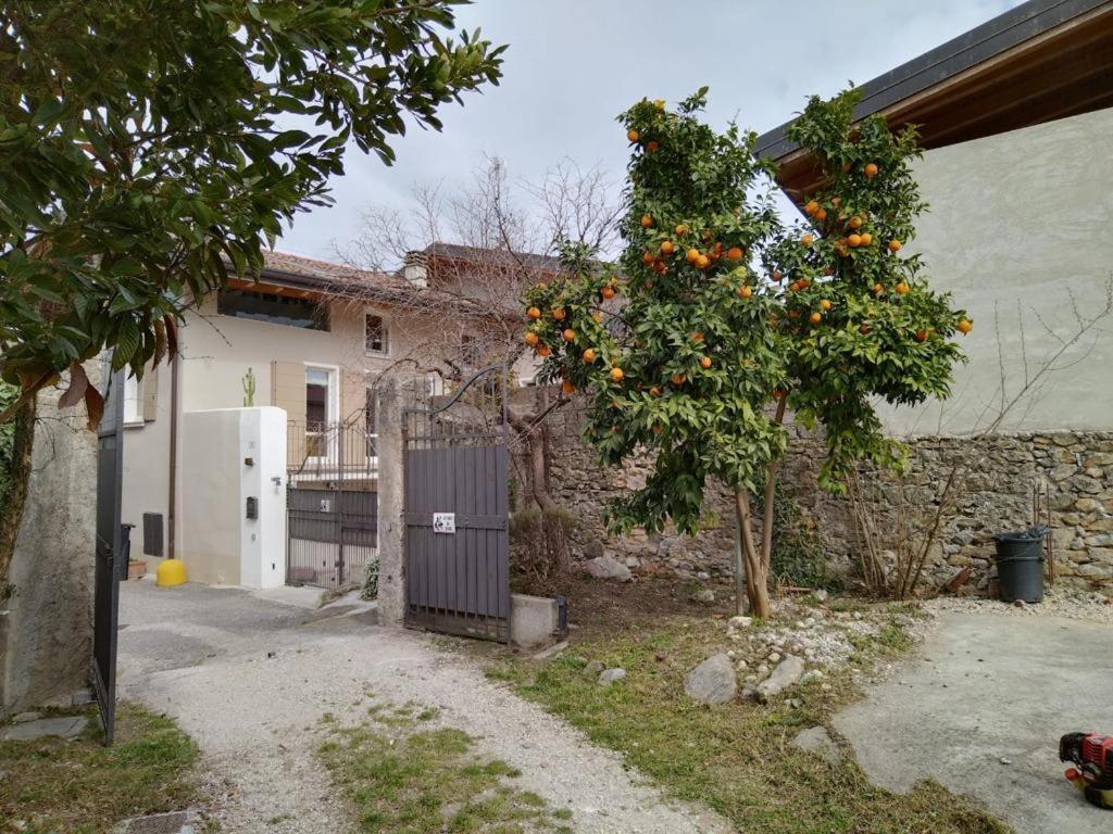 Borgo Alla Pieve Apartments Manerba del Garda Exterior foto